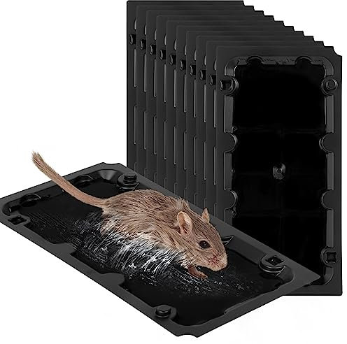 Paquete de 10 trampas adhesivas para ratones en interiores, con sabor a maní y feromonas para ratones en interiores para el hogar