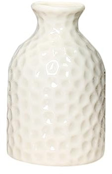 Ciieeo White Ceramic Small Vase Mini Desktop Flower Vase for Home Office Decor Simple Aromatherapy Bottle 3 Inch