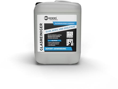 SC 2000 Professional Glasreiniger 10 L