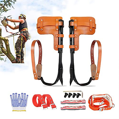 DJEMPPS Baumklettern Spikes Set, 304 Edelstahl Baumklettern Spikes mit verstellbarem Gürtel 2 Gang Baum Kletterschuhe zum Pflücken von Obst