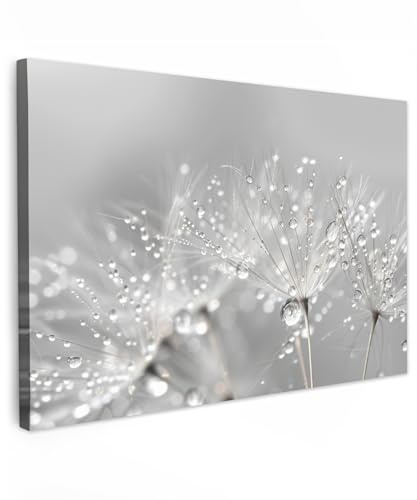 MuchoWow© Leinwandbilder Wall Art Decoration Bilder für die Wand - Modern | 90x60 cm - Schlafzimmer Deko Canvas Painting Wanddekoration Wohnzimmer Pusteblume - Wassertropfen - Stilleben