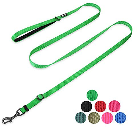 Hyhug 1,8 m Verstellbare Nylon Hundeleine mit weichem, gepolstertem Griff - Haltbare Leine mit einfachem Bolzkupplungsverschluss, ideal für große, mittlere und kleine Hunde (Klein, Limonengrün)