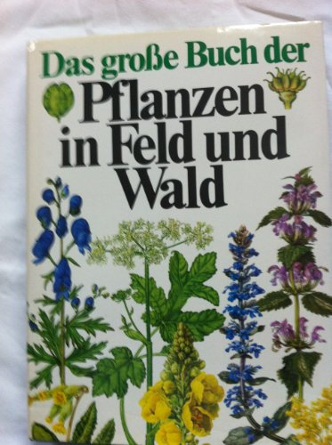 Das grosse Buch der Pflanzen in Feld und Wald