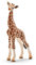 SCHLEICH WILD Life | Giraffenbaby 14751 | detailgetreue Tierfiguren | Zoo Spielzeug Jungen und Mädchen | Deko für Geburtstag | Spielfigur ab 3 Jahren | 7 x 4 x 12 cm