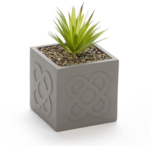 Rocking Gifts Cactus en pot PANOT 13 cm