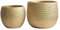 Olly & Rose Set di 2 vasi per piante in ceramica Barcellona, color oro, per interni ed esterni, decorazione per casa e giardino (oro, 14 cm + 17,5 cm)
