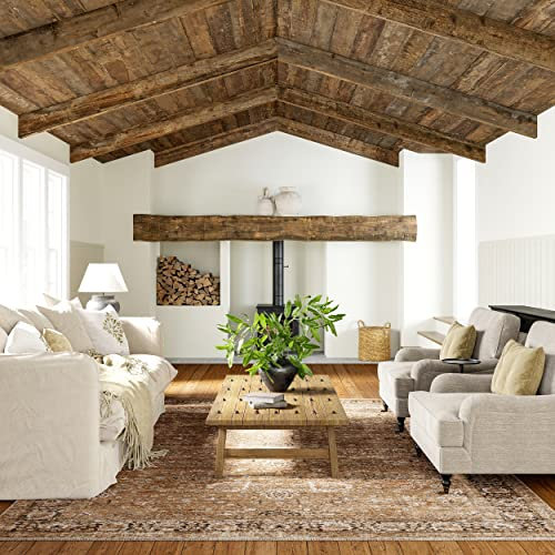 Rugs USA Lauren Liess Bayberry Vintage-Teppich, maschinenwaschbar, 22,9 x 30,5 cm, traditionelles Hellbraun, für Wohnzimmer, Schlafzimmer, Esszimmer, Küche