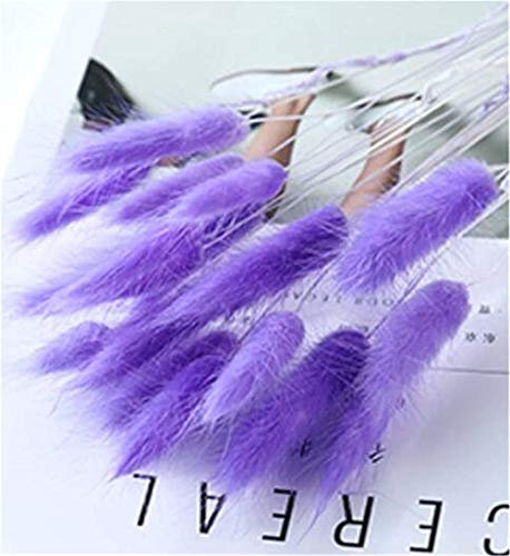 Nicole Knupfer Lot de 20 petites fleurs séchées en herbe de la pampa - Décoration de jardin - Violet
