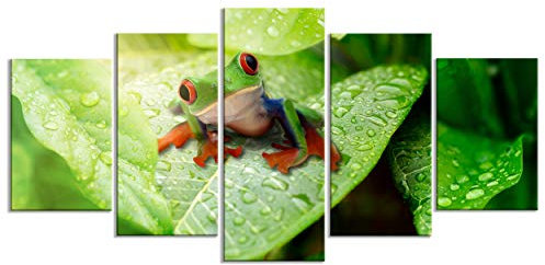decomonkey - Impression sur Toile Intissé Grenouille 150x75 5 Pièces - Tableau Décoration Appartement Cadre en Bois Déco Salon Peinture sur Toile Maison Feuilles nature plantes grenouilles vert