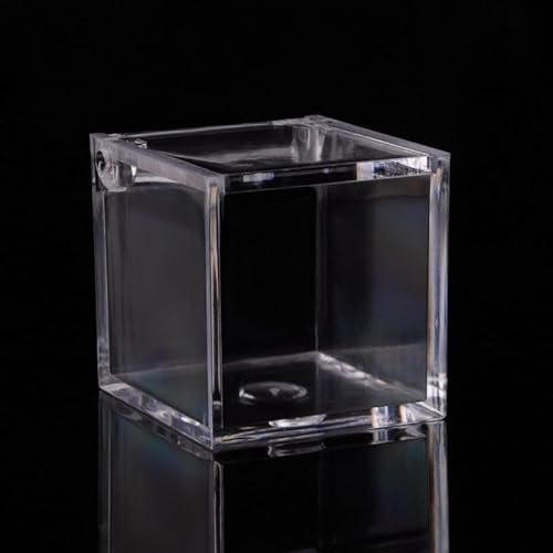 Praktische und niedliche transparente Kunststoff-Schachtel für Veranstaltungen und Feiern