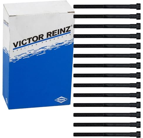REINZ 14-32029-01 Zylinderkopfschraubensatz