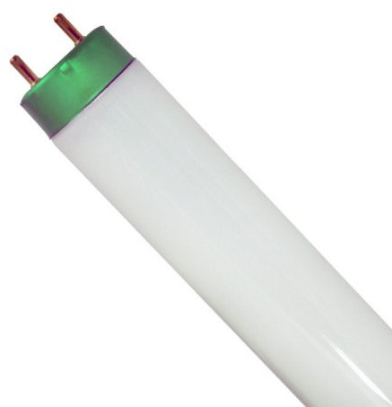 Philips 28W 48in T8 Long Life Neutral White Fluorescent Tube