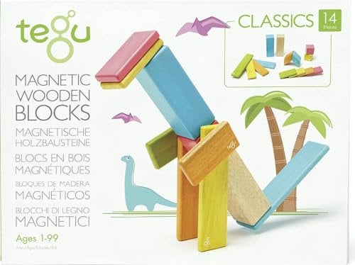 TEGU 14P-TNT-306T Holzset Farbig, 14 Teile 5701364 Holzbausteine magnetisch, Holzspiele-Set, bunt, Holzspielzeug für Kinder ab 12 Monaten, Tints, c1