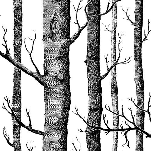 Vaorwne Black White Birch Tree Wallpaper for Bedroom Modern Design Living Room Wall Paper Roll Rustic Forest Woods Wallpapers