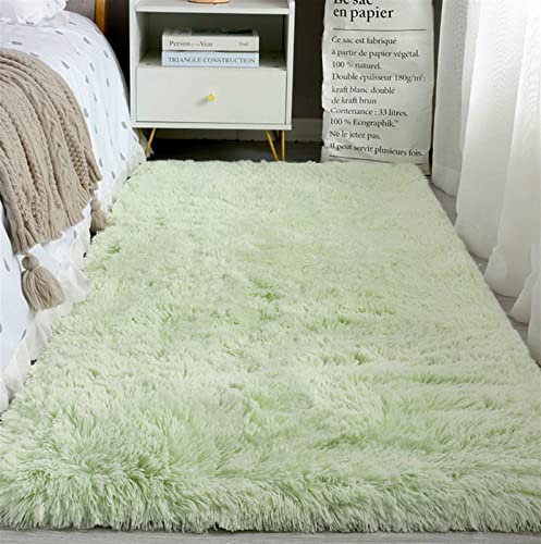 Heavyoff Tapis Doux Salon Tapis Anti Slip Moelleux Chambre Tapis Tapis Shaggy Tapis De Sol Grand pour Couloir Chambre Vert Clair, 60x160cm