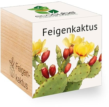 Feel Green - WE CREATE NATURE 501250 Feel Green Ecocube Feigenkaktus, Nachhaltige Geschenkidee (100% Eco Friendly), Grow Your Own/Anzuchtset, Pflanzen Im Holzwürfel, Made in Austria