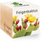 Feel Green - WE CREATE NATURE 501250 Feel Green Ecocube Feigenkaktus, Nachhaltige Geschenkidee (100% Eco Friendly), Grow Your Own/Anzuchtset, Pflanzen Im Holzwürfel, Made in Austria
