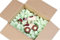 Flo-Pak Verpackungschips Fillpack Füllmaterial 250 Liter