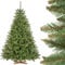 FAIRYTREES Weihnachtsbaum künstlich FICHTE Natur, grüner Stamm, Material PVC, inkl. Holzständer, 180cm