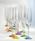 Bohemia Cristal Gläser Rainbow bunt Sortiert 6 - Set (190 ml)