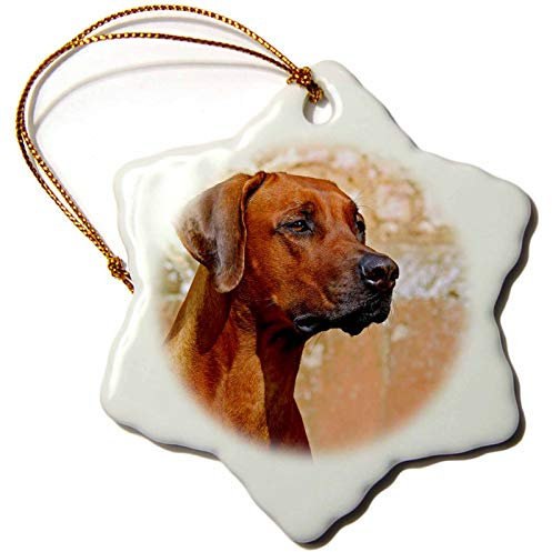 3dRose ORN_296575_1 Dekofigur Schneeflocke, lustiges Porträt von Rhodesian Ridgeback, 7,6 cm