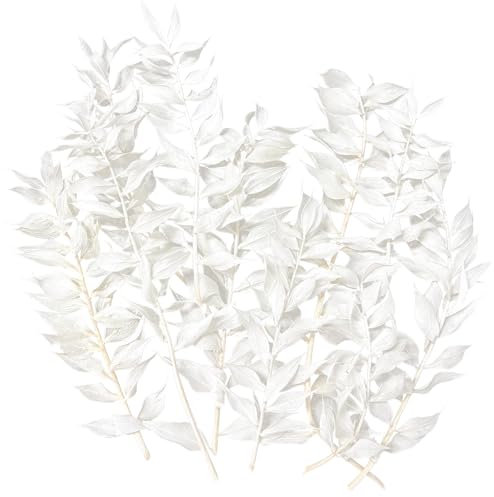 Trockenblumen, getrockneter Mäusedorn, getrocknete Blumen, Basteln für DIY-Kunst, Kunstharz, Scrapbooking, Schmuckherstellung, Blumendekorationen, Cupcake-Dekoration (Weiß)