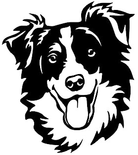 Aufkleber Rassehund Border Collie