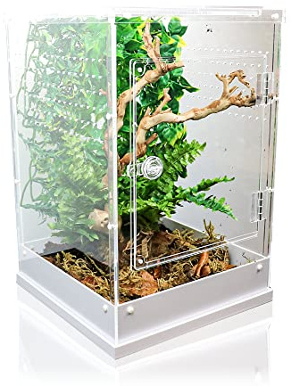 Swell Acrylic 30cm x 30cm x 45cm Terrarium and Nano Tank. Ideal for Plants, Tarantulas and Reptiles
