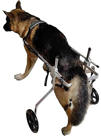 Haustiertrolley， Große/mittelgroße Hundewagen-Rollstühle, Gehhilfe mit 2 Rädern for gelähmte Hinterbeine, Mobilitätswagenhilfen aus Aluminium – 5 Größen optional(Size XXL)