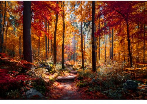 Yunlus Jigsaw Puzzles for Adults 1000 Pieces Puzzles Impossible Hard Difficult Challenging Puzzles for Teens Autumn Maple Leaves Forest Landscape Jigsaw Puzzle 1000 Pieces 28 x 20 inch