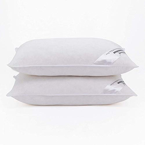 Adam Home Entenfedern und -daunen Kissen 2er-Pack (50x75cm) kopfkissen in Hotelqualität, Seitenschläfer-Pillows for Sleeping, schnell zurückfedernde, staubdichte, hochwertig gefüllte Pillow