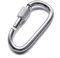 TITECOUGO 2 PCS Aluminum Alloy D-Ring High Strength Carabiner Key Chain Clip Hook For Camping Hiking (Not for Climbing) Silver