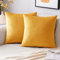 EMEMA Samt Kissenbezug Kissenhülle Dekorative Dekokissen Sofakissen Lendenkissen Wurfkissenbezug mit Verstecktem Reißverschluss Schlafzimmer Sofa 2er Set 40x40 cm Golden