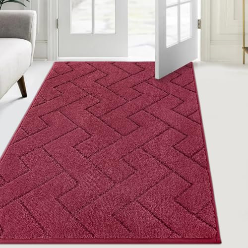 FCSDETAIL Paillasson Interieur 86 x 150 cm, Tapis d'Entrée Antidérapant et Lavable en Machine, Tapis de Sol Douces Absorbantes pour Chien, Entrée, Porte et Couloir