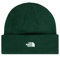 The North Face NF0A5FW1NL11 Norm Beanie Hat Herren Evergreen Größe OS
