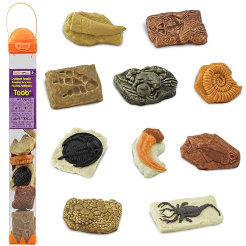 Safari Ltd. antike Fossilien TOOB - Figuren: Dinosaurier-Fußabdruck, Riesenkrabbe, Ammonit, Raptor-Klaue, T-Rex-Zahn, Froschskelett, Seeskorpion & mehr - Lernspielzeug für Menschen ab 3 Jahren
