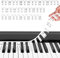 URAQT Abnehmbare Klaviertastatur Notenetiketten,88 Tasten Klaviertasten Noten Aufkleber Wiederverwendbar Anfänger Silikon Klaviernoten Anleitung Keyboard Noten Aufkleber für Kinder und Anfänger