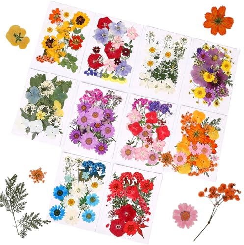 Gugxiom Gepresste Blumen, 200 Stück Natürliche Trockenblumen, 10 Farbsortimente für Harz Formen, Kerzen, Nagelkunst, Schmuck & DIY-Basteln (Stil 1)