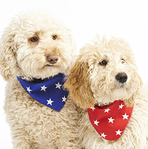 Pet Pooch Boutique Star Bandana for Dog, X-Small/Small, Red