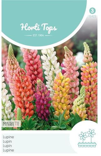 Hortitops 15422 Lupine Minarette Mischung (Lupinensamen)