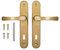 ADGO Tirador de Puerta Juego de Tiradores para Puerta para Cerradura 90 mm Bizcocho, Tirador de Aluminio, Escudo de Acero Recubierto en Polvo Galvanizado, Tornillos de Montaje, Dorado