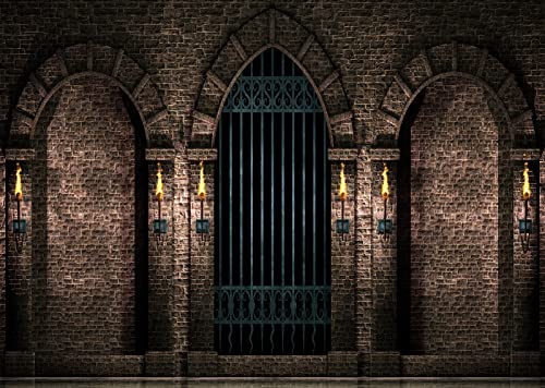 BELECO 2.1x1.5m Fabric Gothic Castle Photography Backdrop Ancient Stone Wall Arches Iron Gates Torches Prison Corridor Halloween Night Background Medieval Castle Birthday Party Decorations Photo