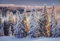 adrium Acryl-Bild 60 x 40 cm: Majestätische Landschaft mit Wald im Winter. Landschaftlicher Hintergrund. (158418088)
