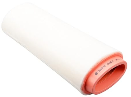Castrol Filters CA0024 Air Filter