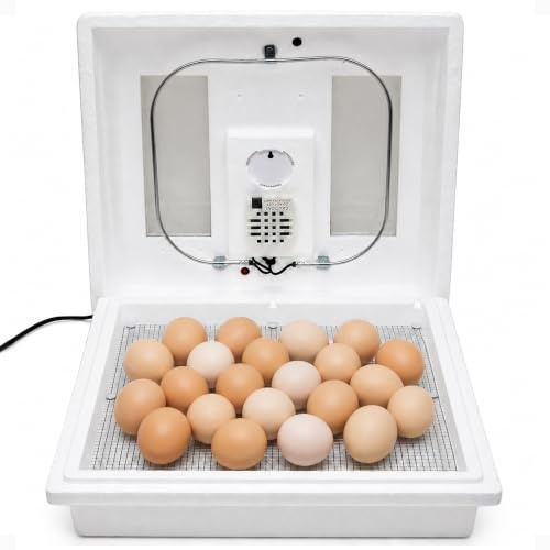 Farm Innovators 2100 Heated Still Air Incubator for 4 Dozen Eggs with Built in Hygrometer, Solid State Circuitry, and 2 Large Viewing Windows, White
