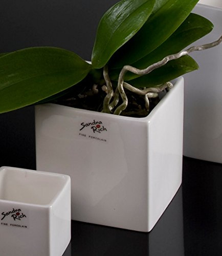 Sandra Rich Porzellanblumentopf Cube weiß eckig 10 cm hoch Ø 10,0 x 10,0 cm