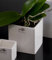 Sandra Rich Porzellanblumentopf Cube weiß eckig 10 cm hoch Ø 10,0 x 10,0 cm