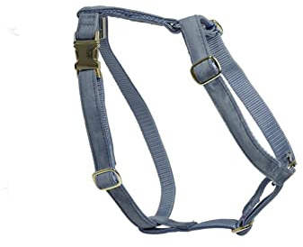 Kentucky - Lauf Hundegeschirr - Hellblau - Größe L - 75-100cm