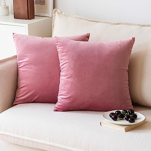 NiNi ALL Set di 2 federe decorative in velluto, per divano, camera da letto, soggiorno, esterno, 52 x 52 cm, colore: rosa cipria