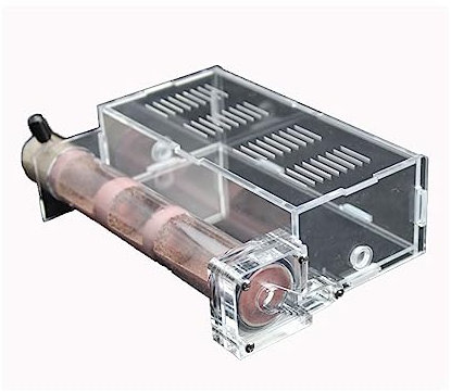 Ameisenfarm Box W/Reagenzglas Acryl Transparent Mini Ameisennest Glas Nest Tube Ameisenhaufen Klar Ameisenkolonie Beobachtungsset für Haustier Insekten